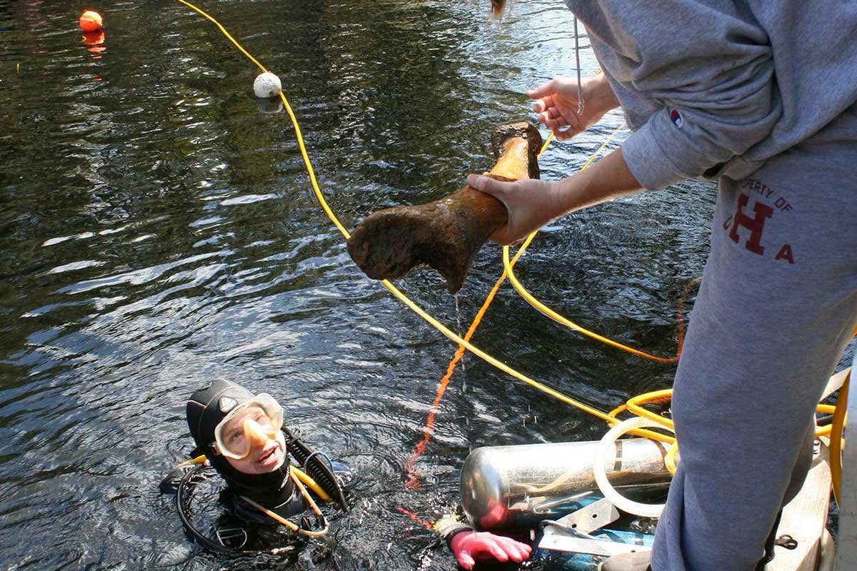 Diver surfaces as colleague standing above him holds large mastodon bone