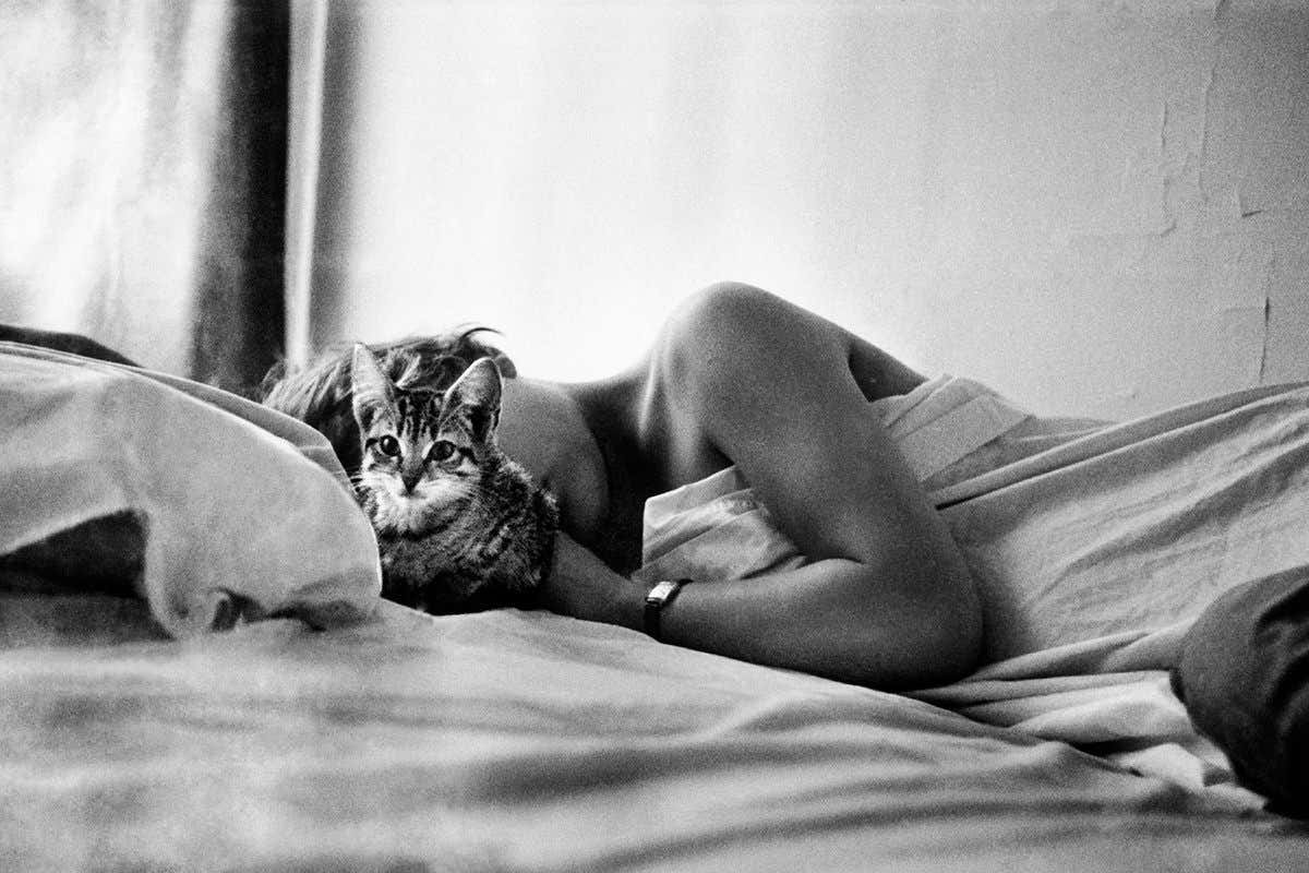 A person sleeps beside their cat