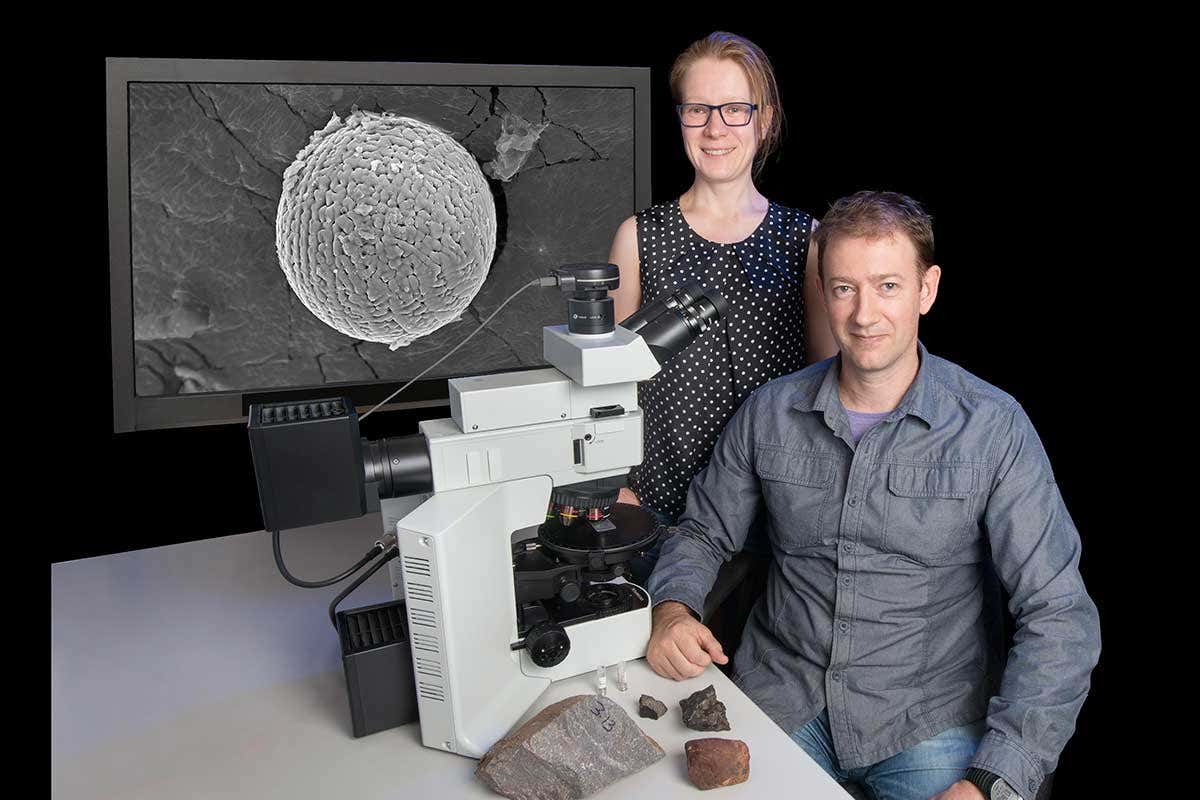 New Scientist. Science news and long reads from expert journalists, covering developments in science, technology, health and the environment on the website and the magazine.