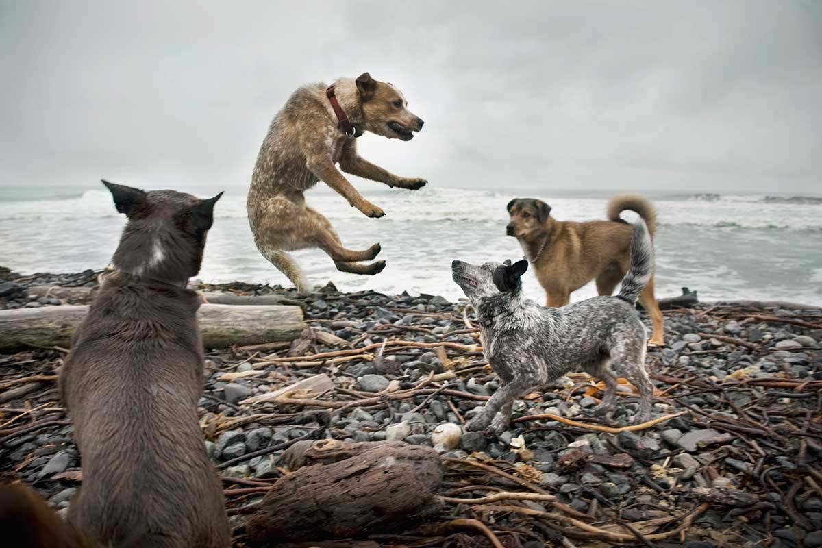 New Scientist. Science news and long reads from expert journalists, covering developments in science, technology, health and the environment on the website and the magazine.