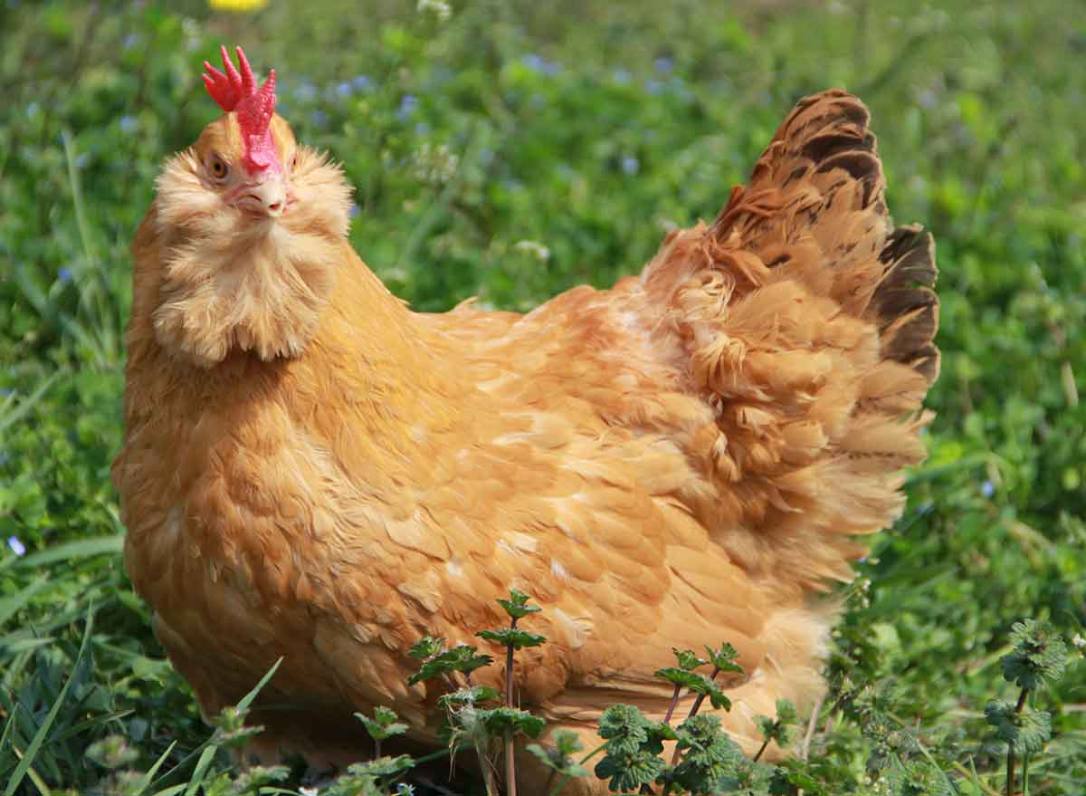 New Scientist. Science news and long reads from expert journalists, covering developments in science, technology, health and the environment on the website and the magazine.