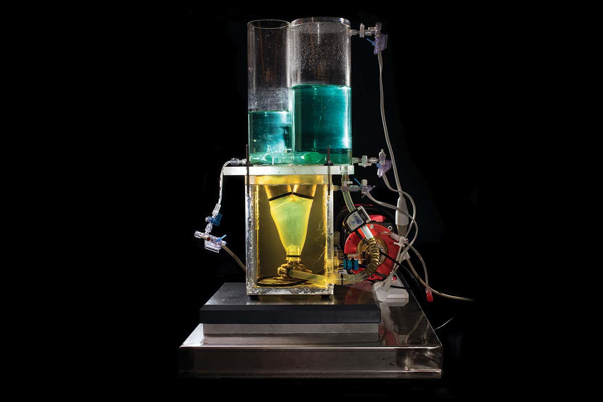 pump-assisted heart model