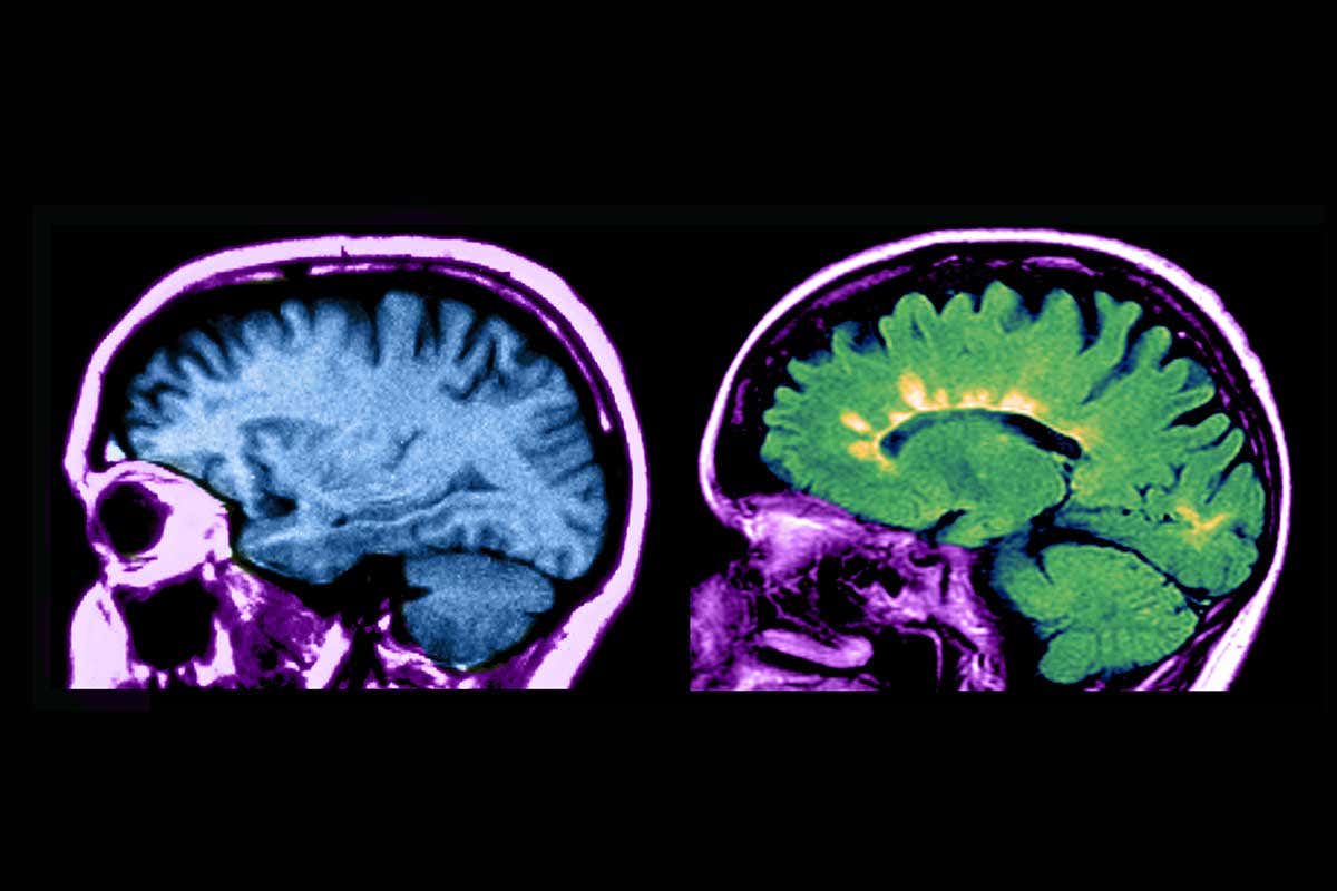 New Scientist. Science news and long reads from expert journalists, covering developments in science, technology, health and the environment on the website and the magazine.