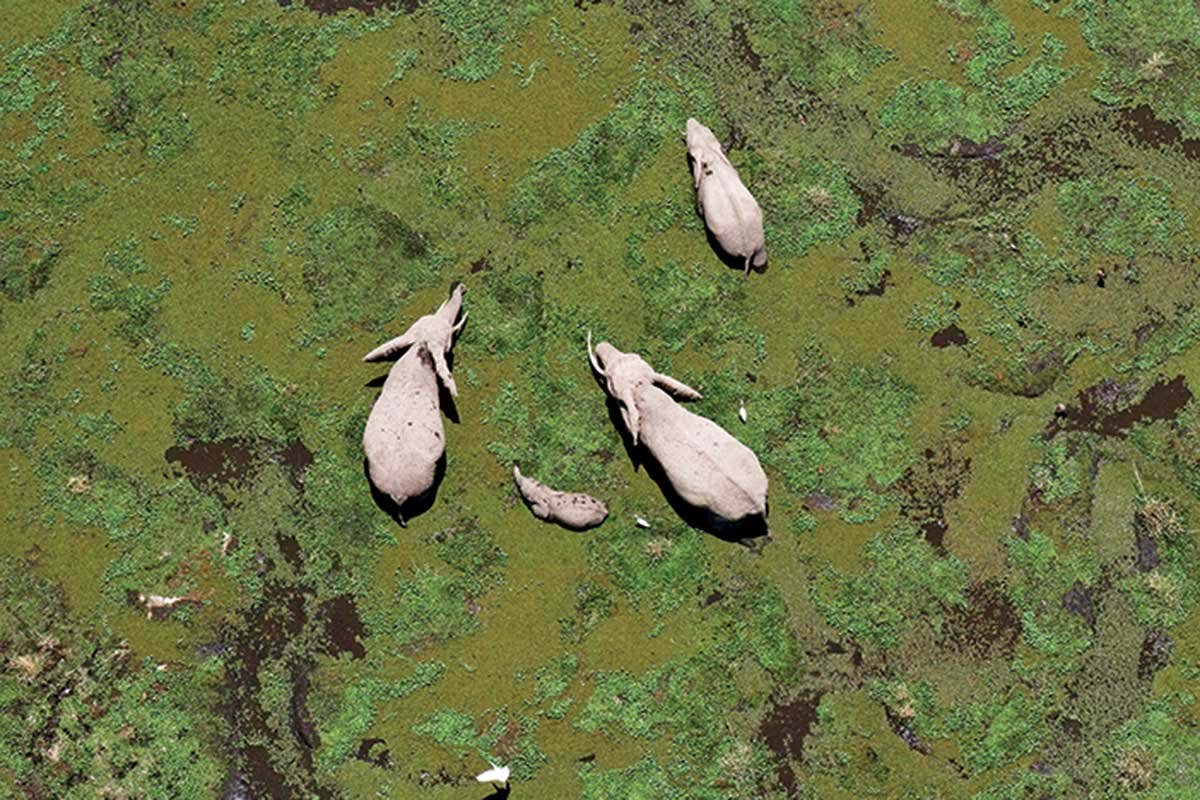 New Scientist. Science news and long reads from expert journalists, covering developments in science, technology, health and the environment on the website and the magazine.