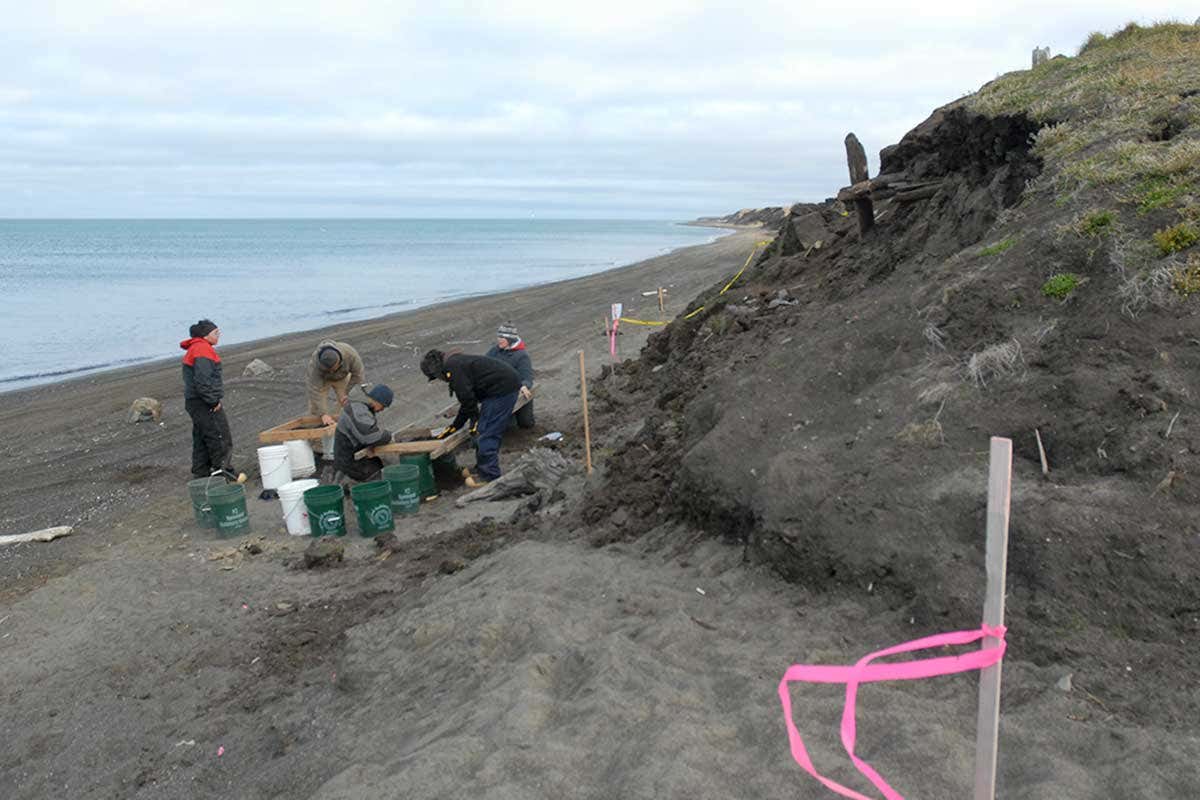 New Scientist. Science news and long reads from expert journalists, covering developments in science, technology, health and the environment on the website and the magazine.
