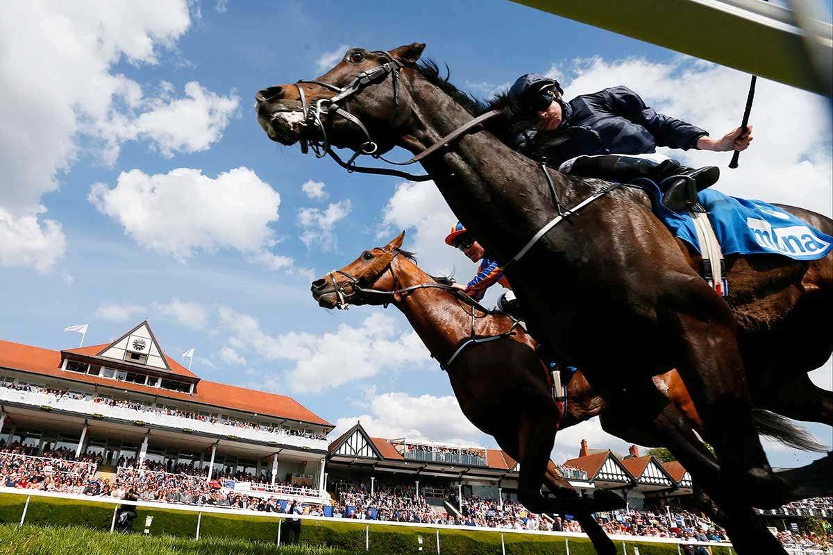 Two horses in the middle of a race galloping past the camera