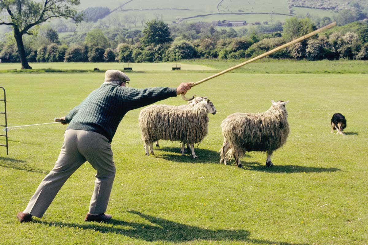 New Scientist. Science news and long reads from expert journalists, covering developments in science, technology, health and the environment on the website and the magazine.