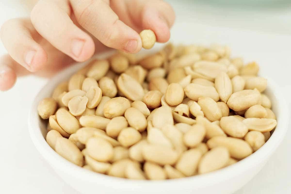 A bowl of peanuts