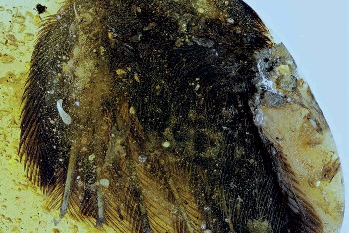 New Scientist. Science news and long reads from expert journalists, covering developments in science, technology, health and the environment on the website and the magazine.