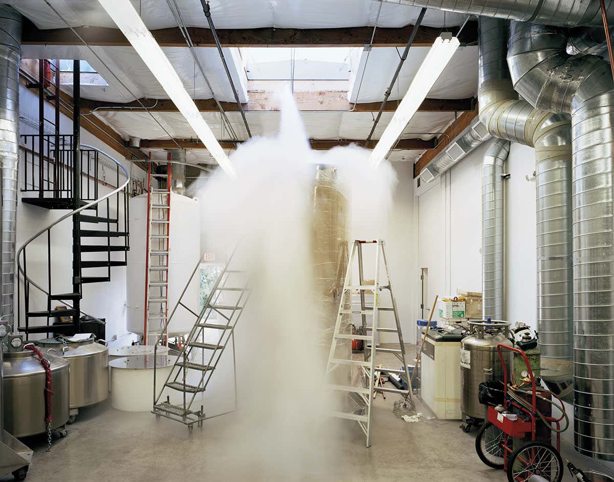 A visual tour of the weird world of the cryogenically frozen
