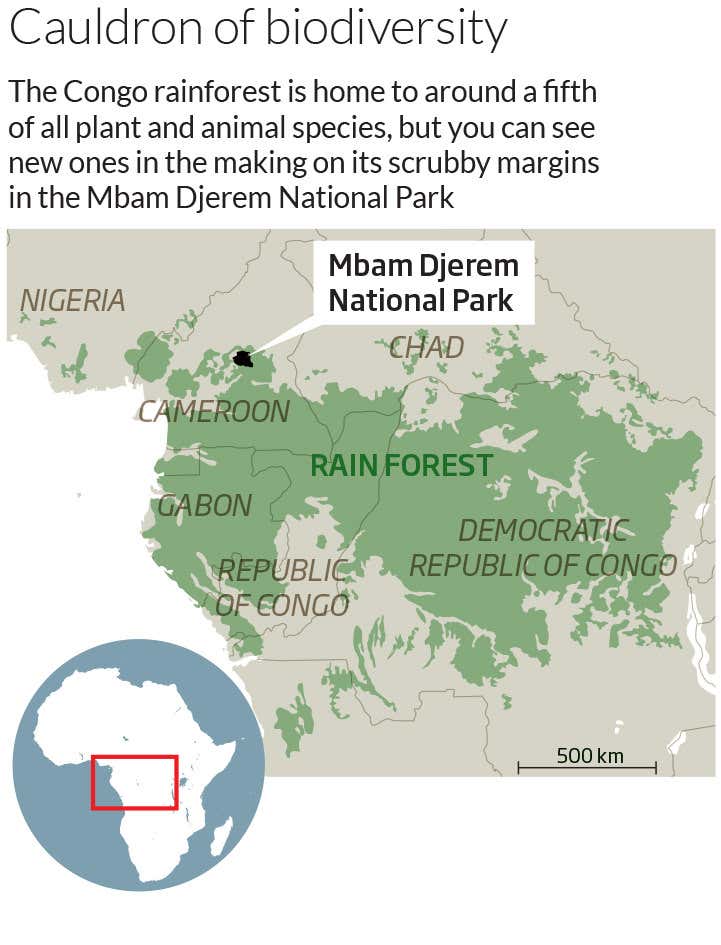 New Scientist. Science news and long reads from expert journalists, covering developments in science, technology, health and the environment on the website and the magazine.