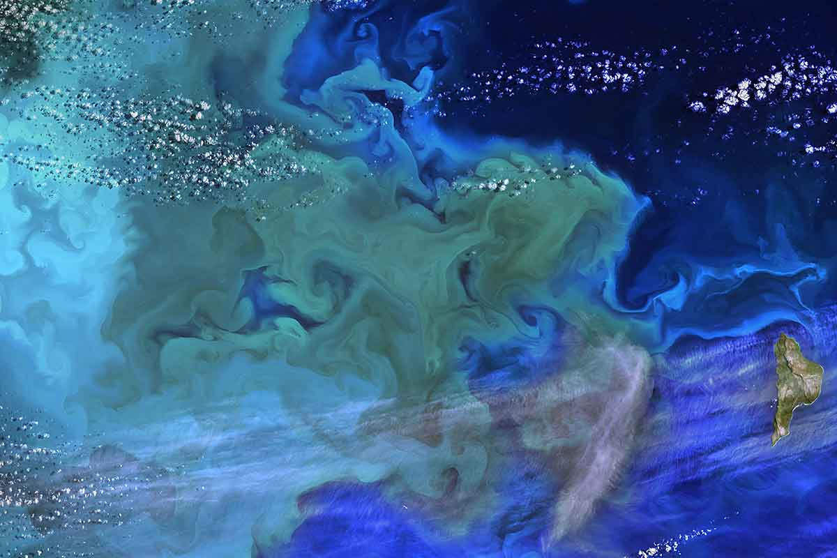 Aerial shot of phytoplankton bloom