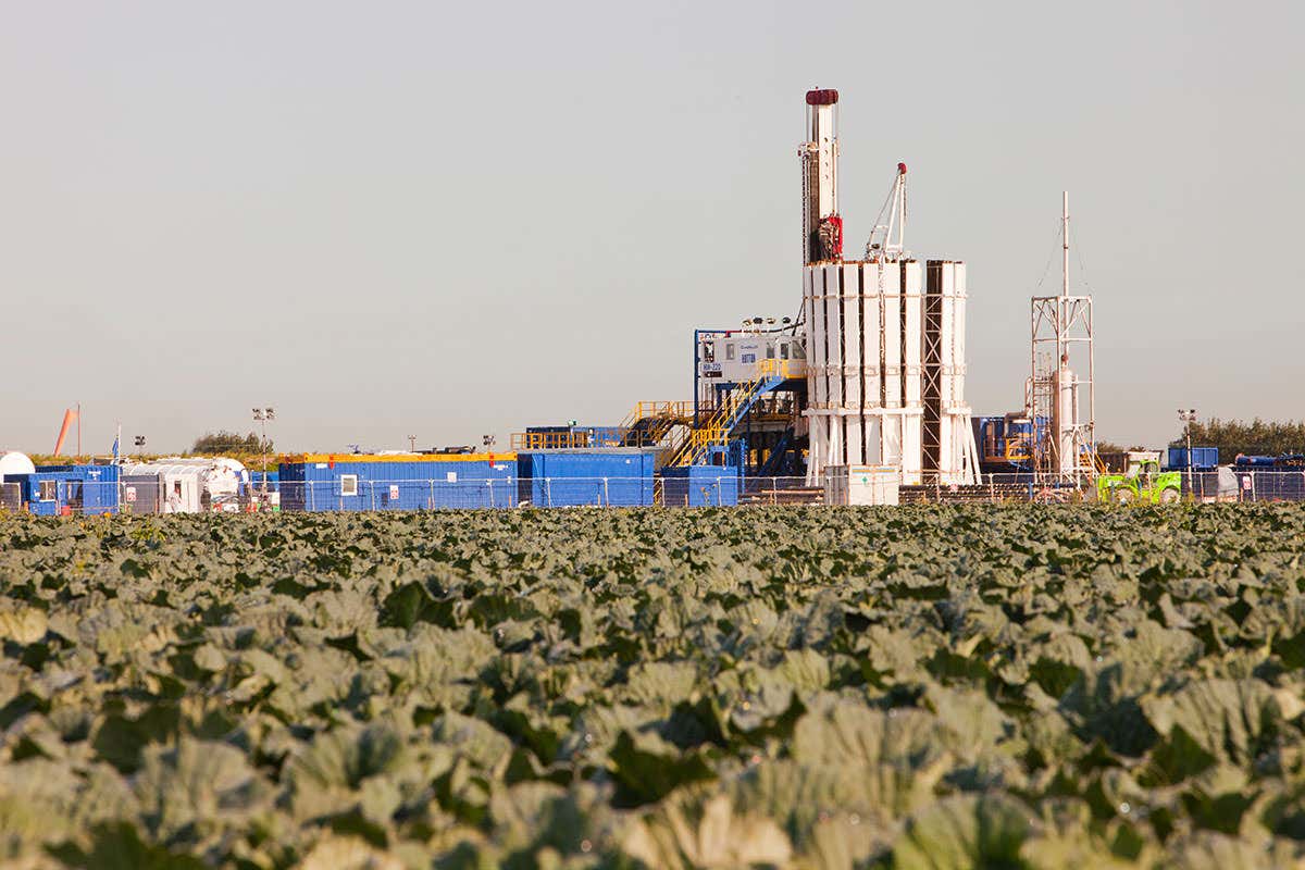 New Scientist. Science news and long reads from expert journalists, covering developments in science, technology, health and the environment on the website and the magazine.