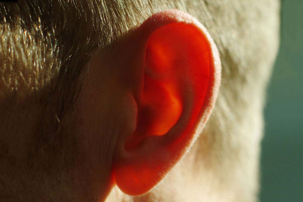 Photo of the outer ear