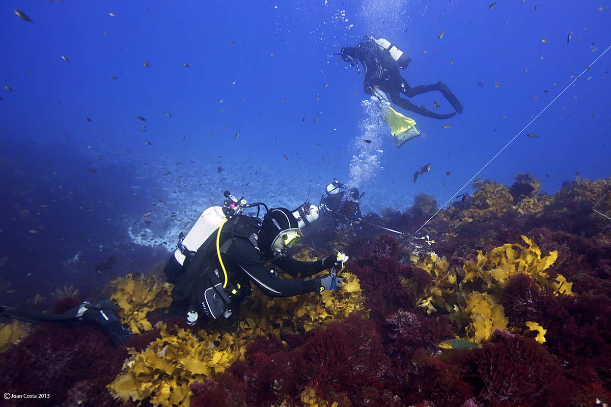 New Scientist. Science news and long reads from expert journalists, covering developments in science, technology, health and the environment on the website and the magazine.