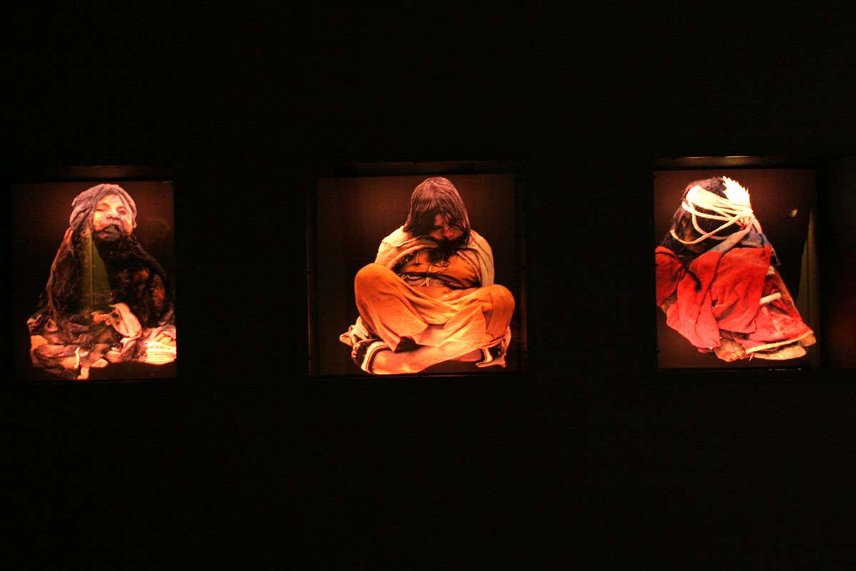 Incan mummies on display