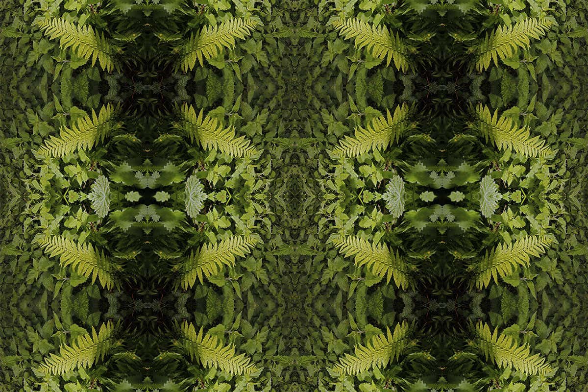 Two kaleidoscopic columns made up of leaves and fronds