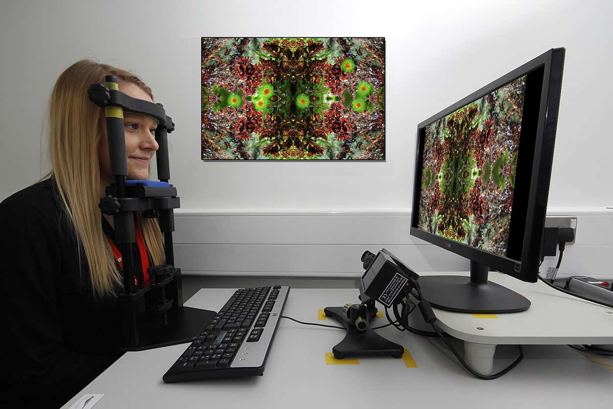 Volunteers have eye movements tracked as they view exhibition art
