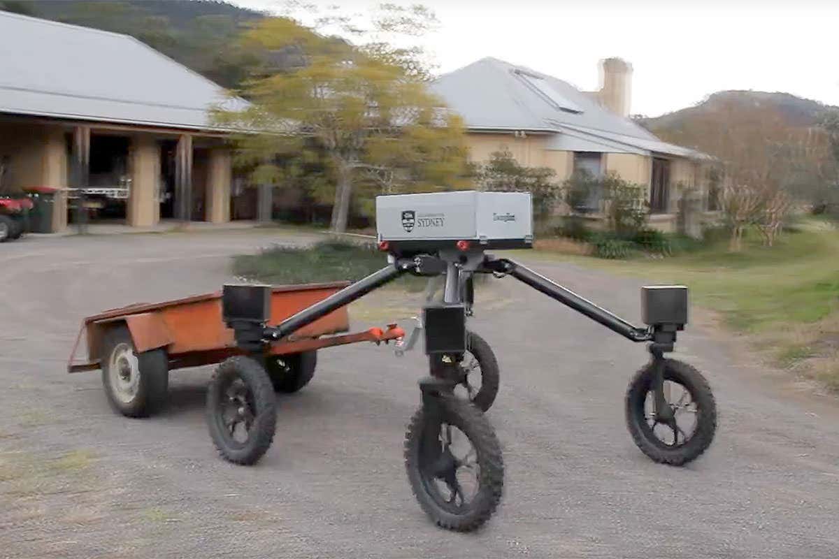 Cattle-herding robot Swagbot makes debut on Australian farms