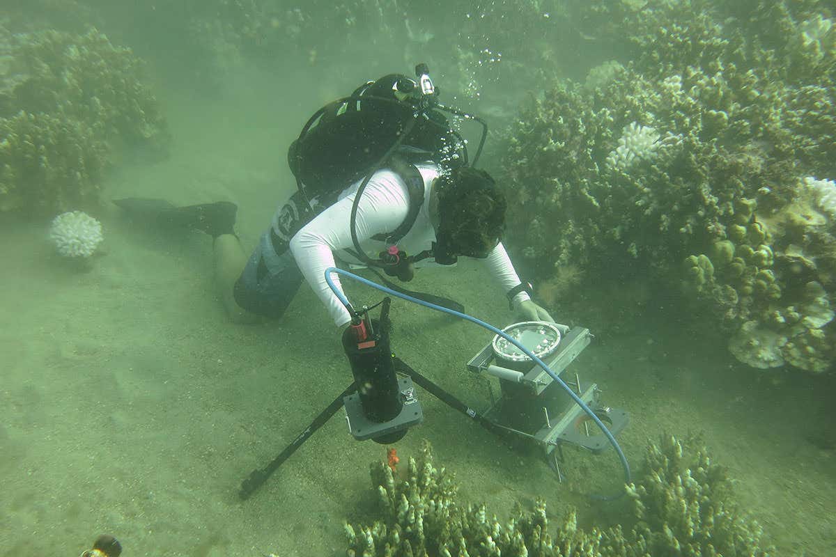 A diver placing the underwater microscope device