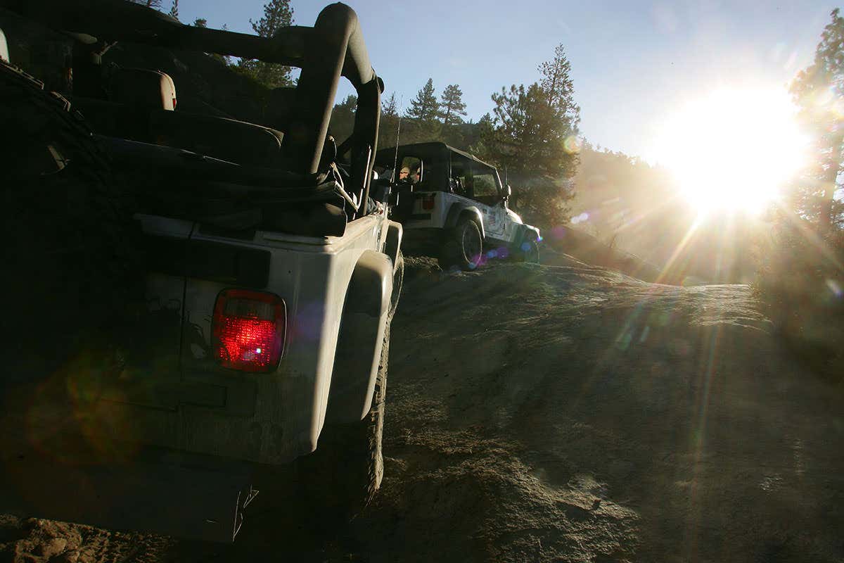 Two vehicles on a partly forested hillside