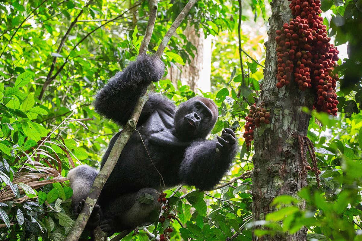 Just checking these ones out