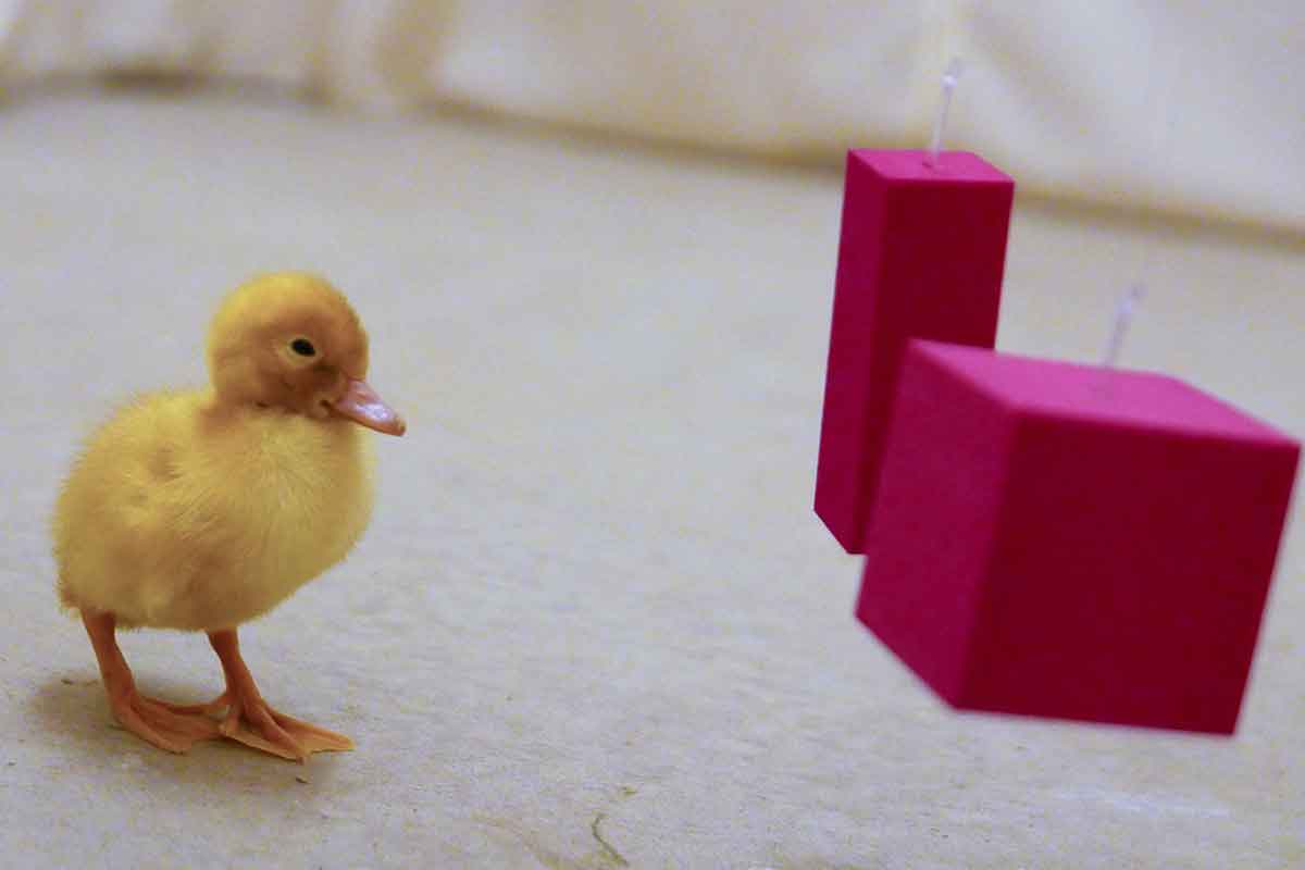 New Scientist. Science news and long reads from expert journalists, covering developments in science, technology, health and the environment on the website and the magazine.