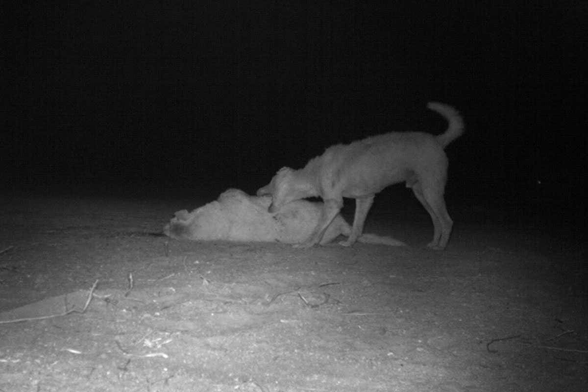 New Scientist. Science news and long reads from expert journalists, covering developments in science, technology, health and the environment on the website and the magazine.