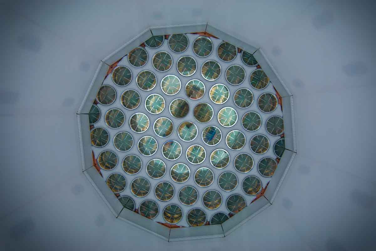 New Scientist. Science news and long reads from expert journalists, covering developments in science, technology, health and the environment on the website and the magazine.