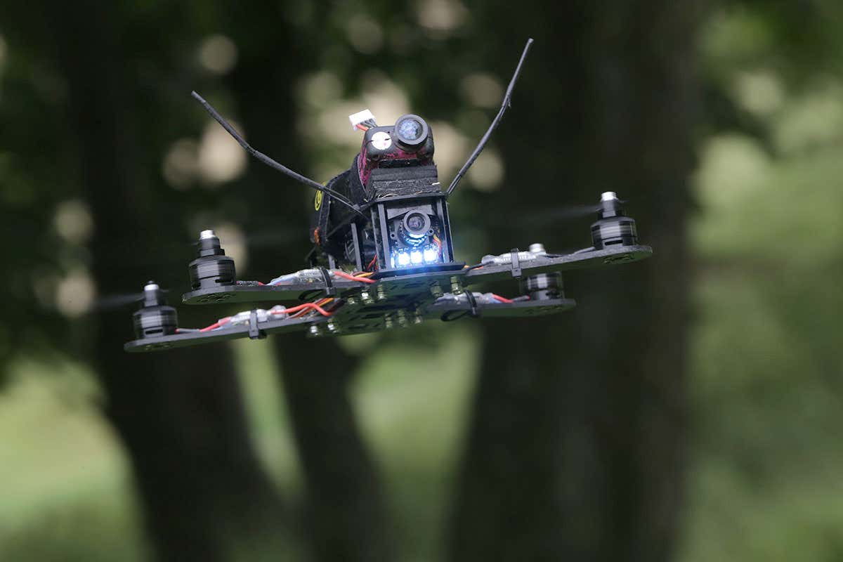Forest flying takes drone swarms to places once off limits