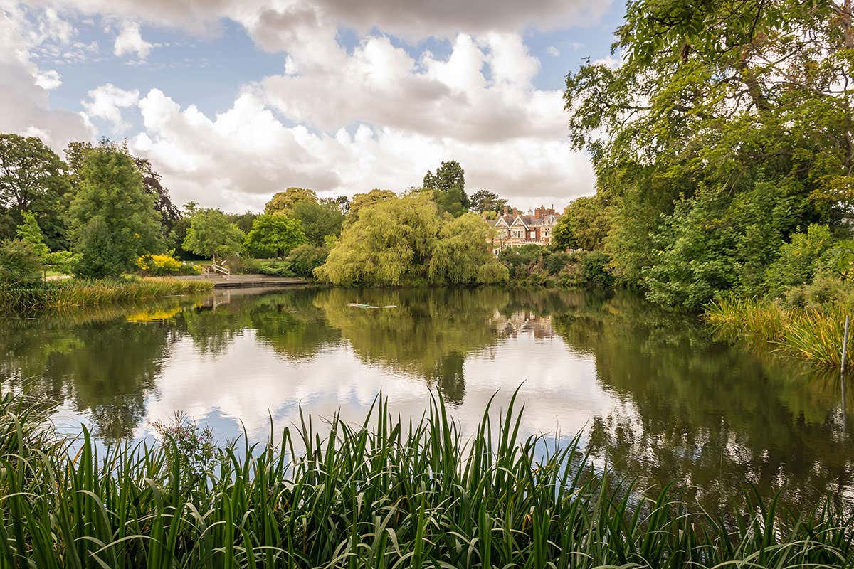 View over a tree-lined lake