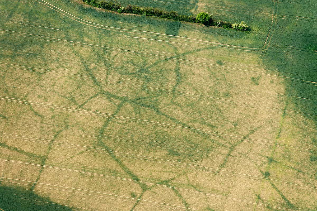 Field showing another network of lines as seen from the air