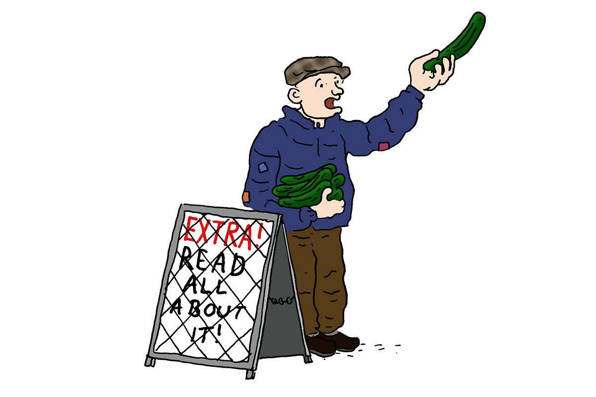 cucumber time cartoon