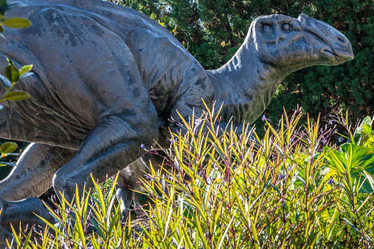 New Scientist. Science news and long reads from expert journalists, covering developments in science, technology, health and the environment on the website and the magazine.