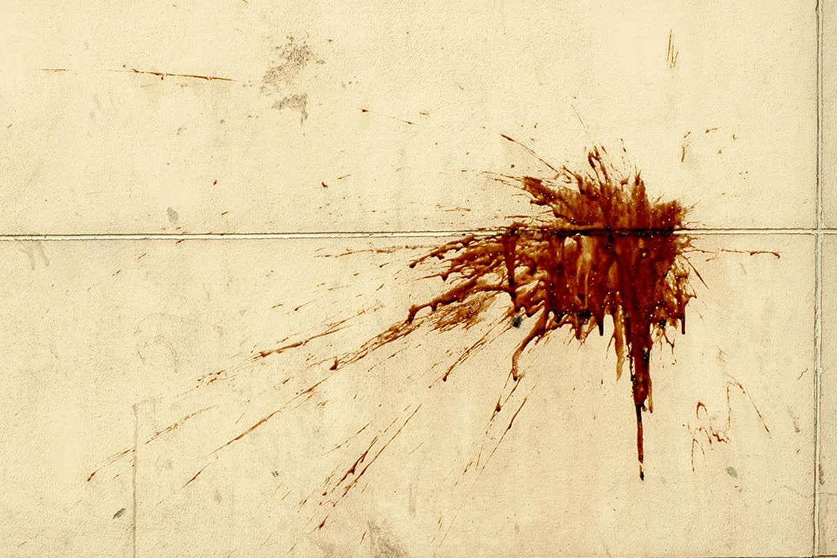 New Scientist. Science news and long reads from expert journalists, covering developments in science, technology, health and the environment on the website and the magazine.