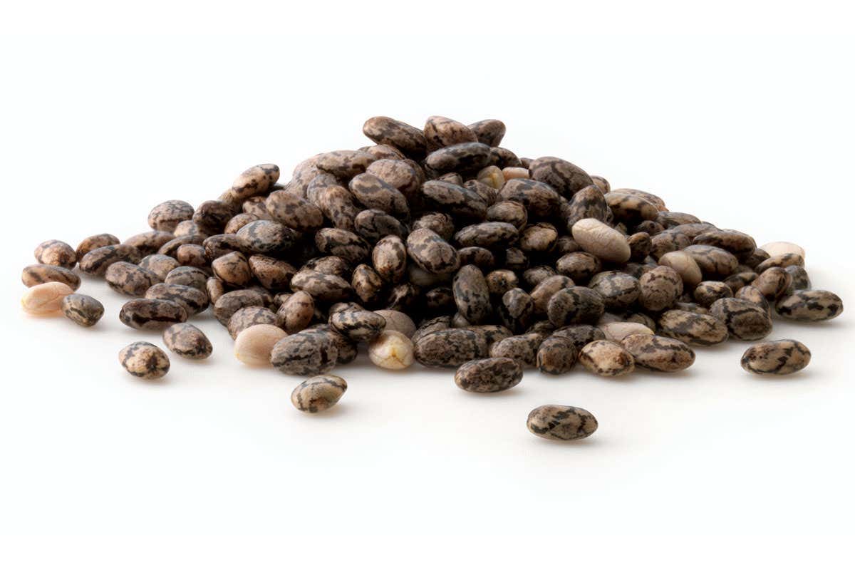 Chia seeds