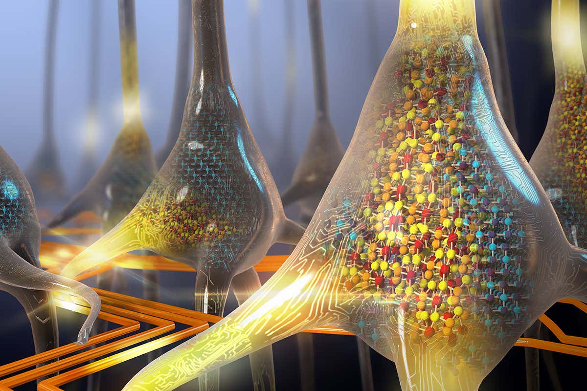 An artistic view of a neuron looking a bit computerish