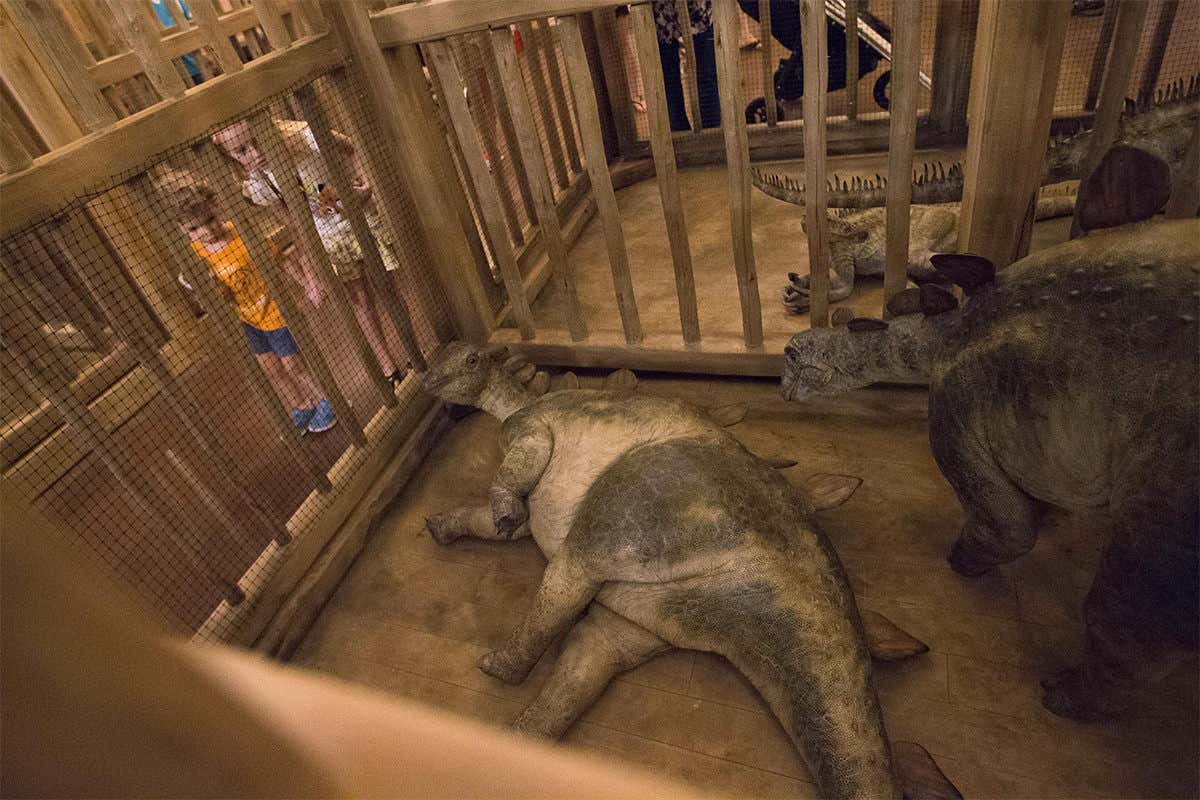 One of the exhibits inside the Ark showing a dinosaur-like creature in a small wooden pen
