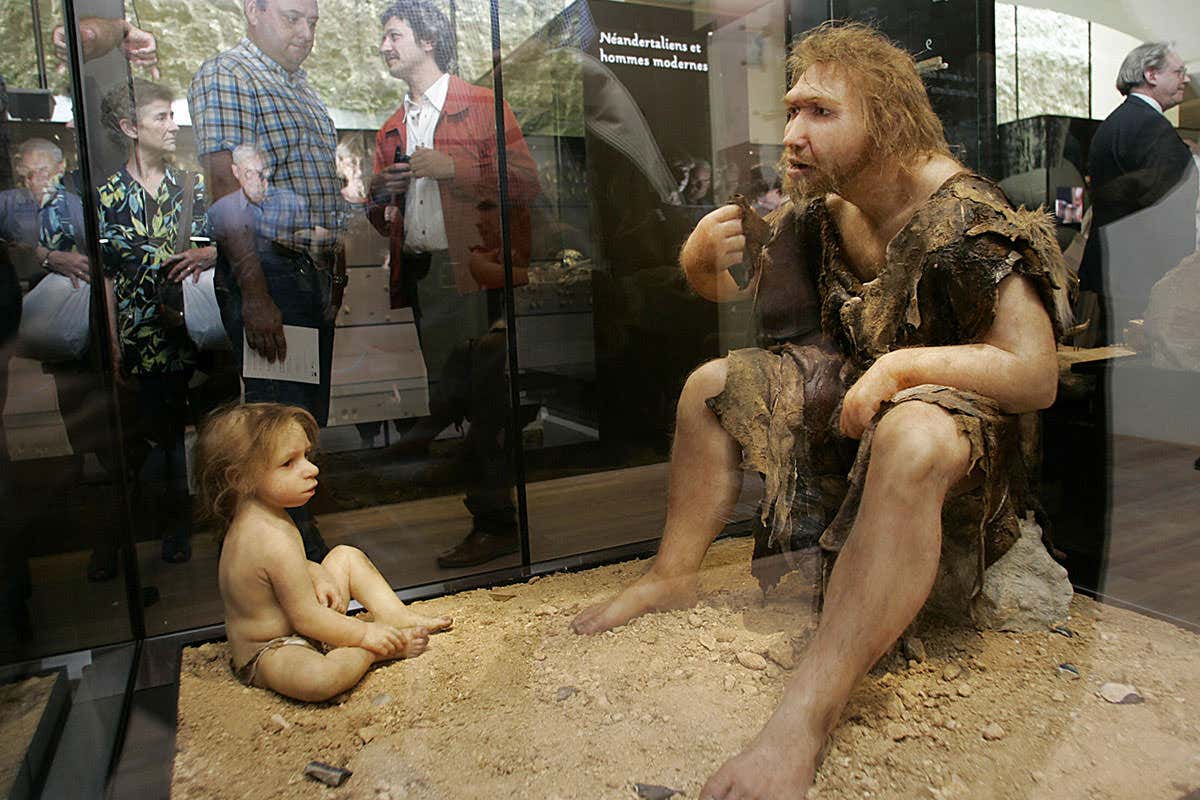 Visitors to museum study glass case containing mannequins meant to representNeanderthal man and boy