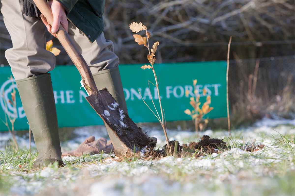 Person in Wellington boots digging hole and planting tree
