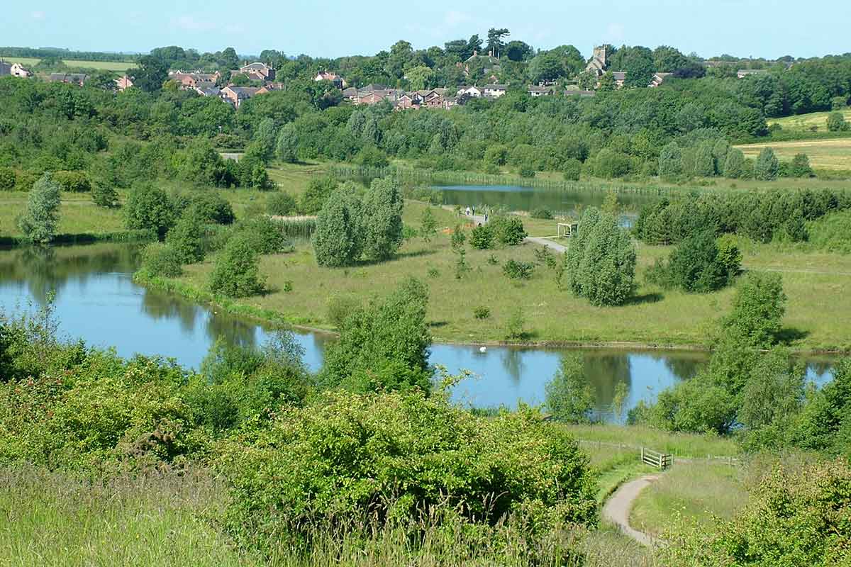 Partly watery landscape dotted with trees