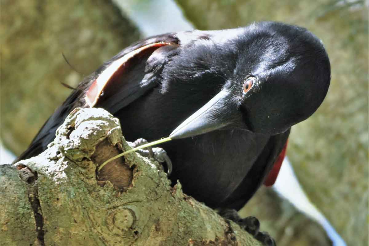 New Scientist. Science news and long reads from expert journalists, covering developments in science, technology, health and the environment on the website and the magazine.