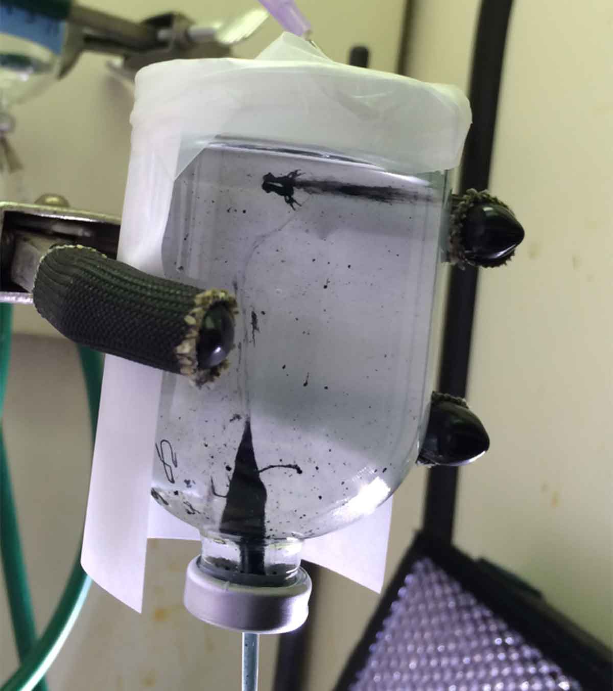 A chimney of iron sulphide precipitated from a simulated iron-containing “early Earth” ocean in an oxygen-free atmosphere when an alkaline hydrothermal fluid containing sulphide enters the ocean