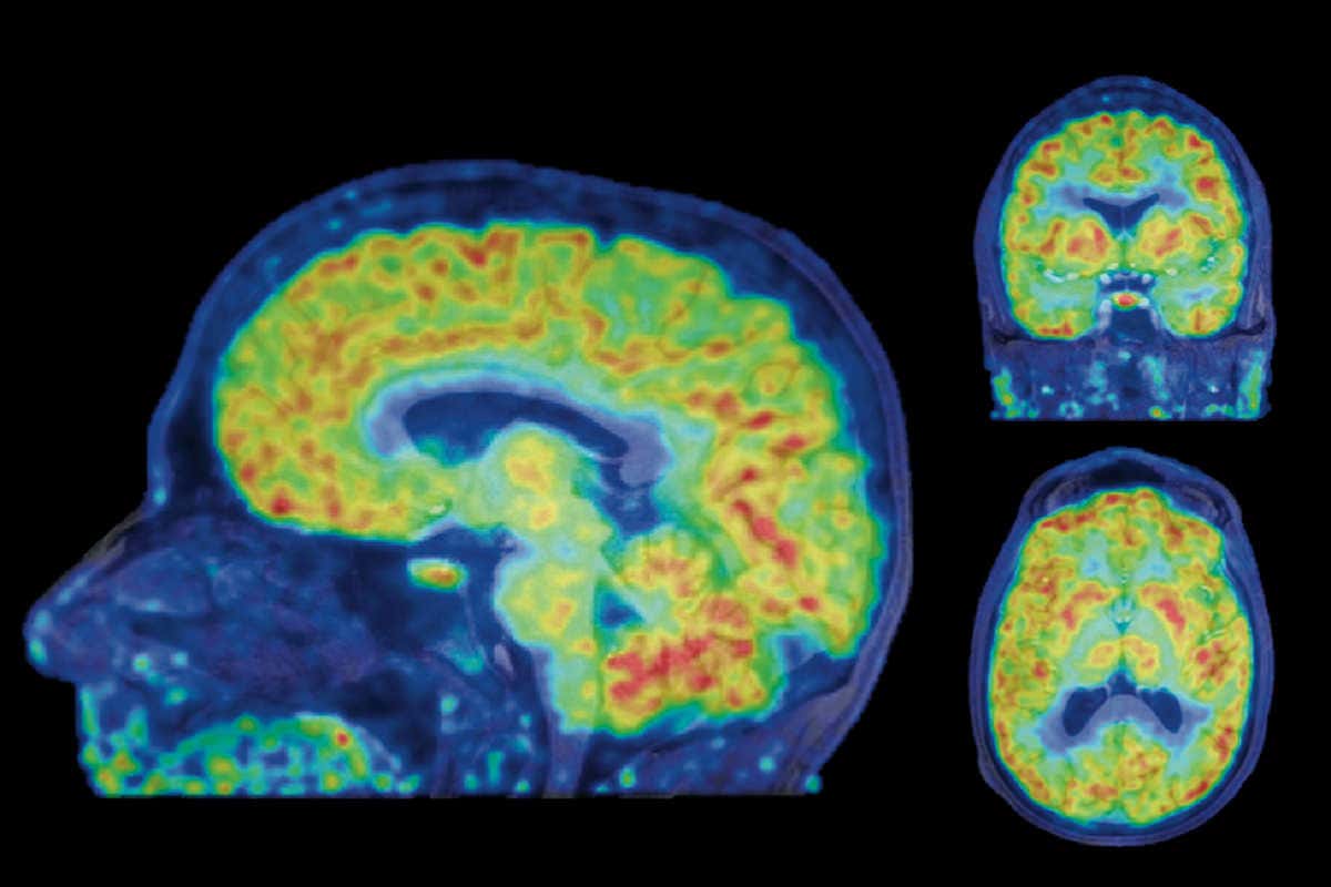 New Scientist. Science news and long reads from expert journalists, covering developments in science, technology, health and the environment on the website and the magazine.