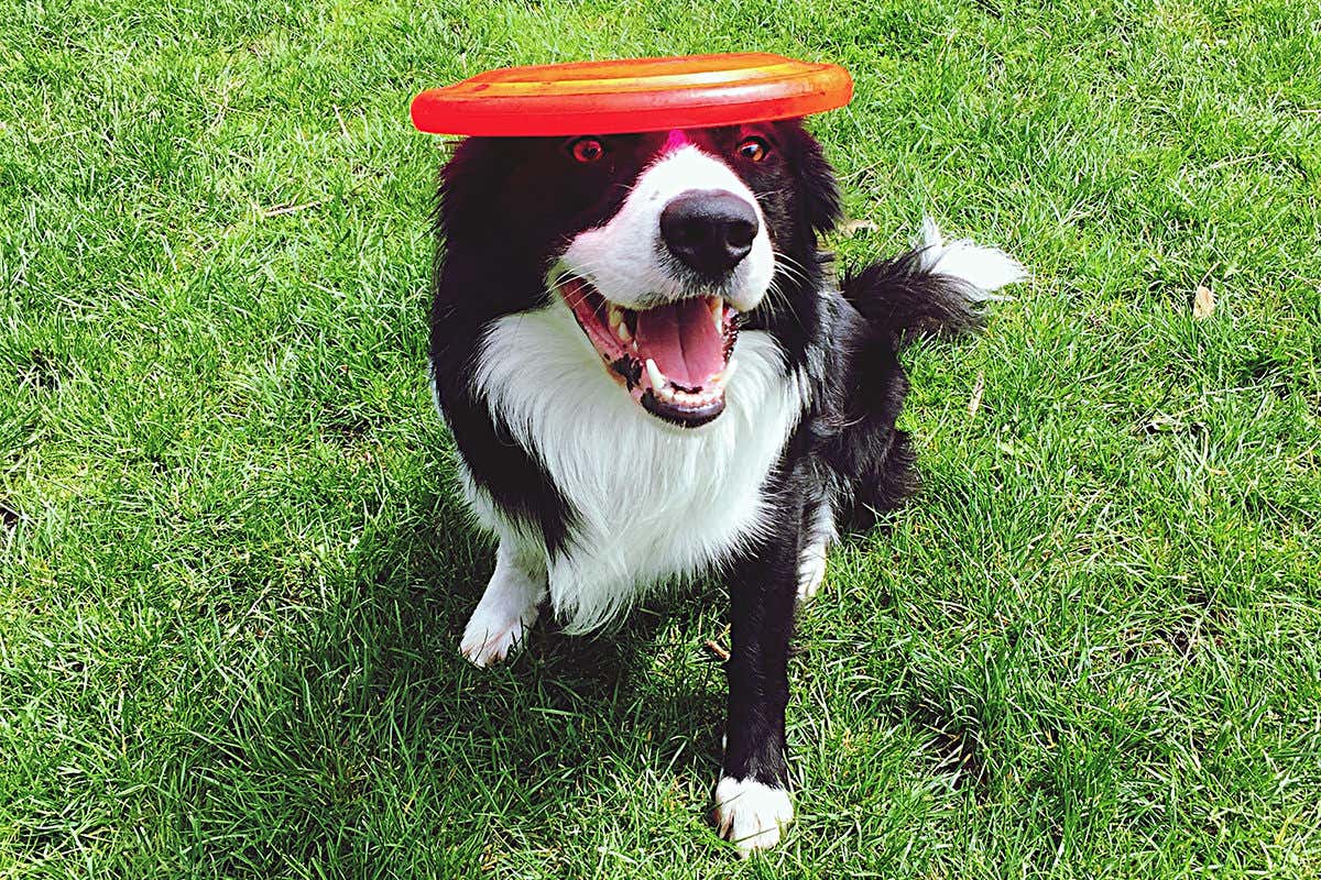 New Scientist. Science news and long reads from expert journalists, covering developments in science, technology, health and the environment on the website and the magazine.