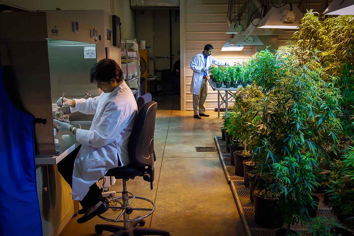 New Scientist. Science news and long reads from expert journalists, covering developments in science, technology, health and the environment on the website and the magazine.