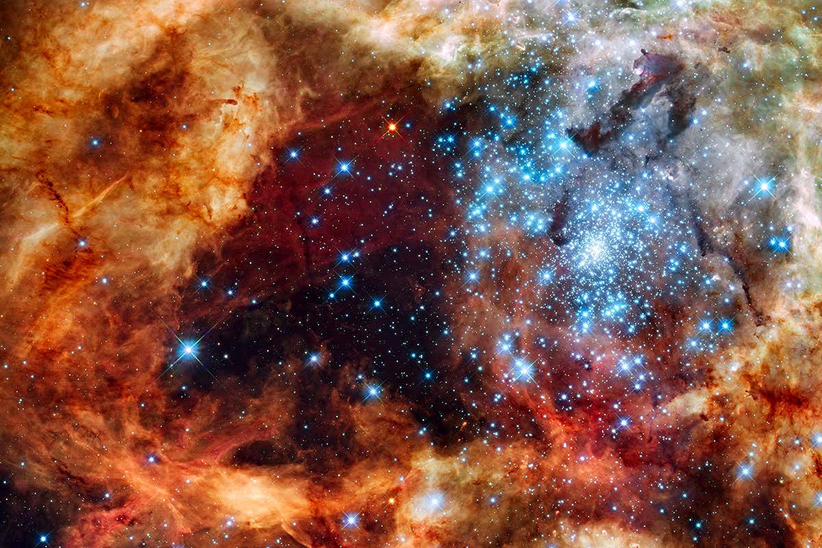 New Scientist. Science news and long reads from expert journalists, covering developments in science, technology, health and the environment on the website and the magazine.