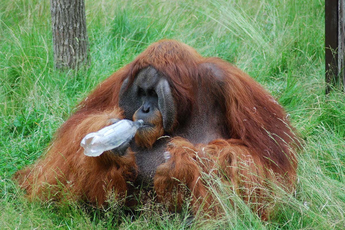 New Scientist. Science news and long reads from expert journalists, covering developments in science, technology, health and the environment on the website and the magazine.