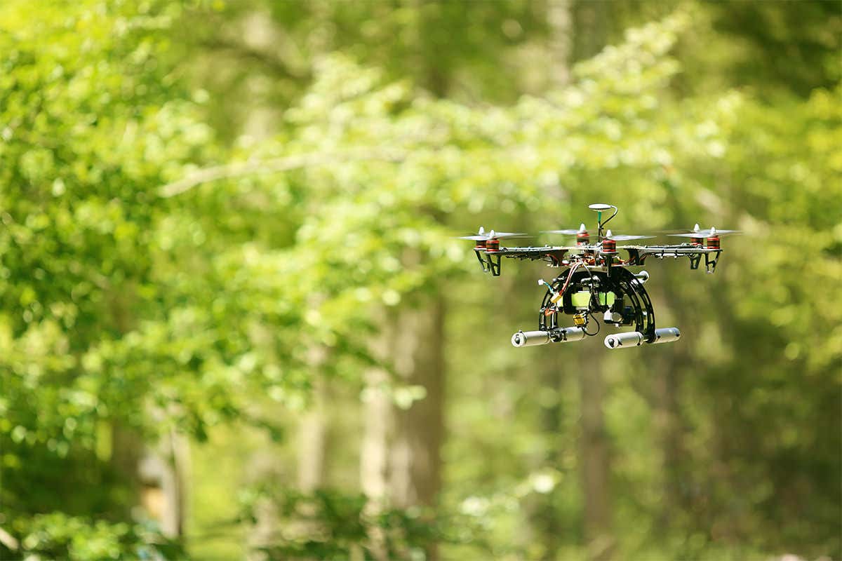A drone hovers in a forest