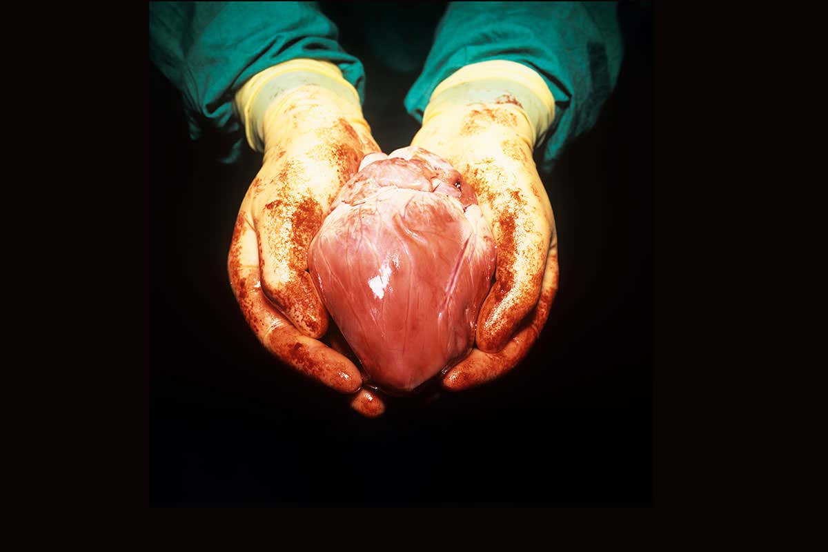 New Scientist. Science news and long reads from expert journalists, covering developments in science, technology, health and the environment on the website and the magazine.